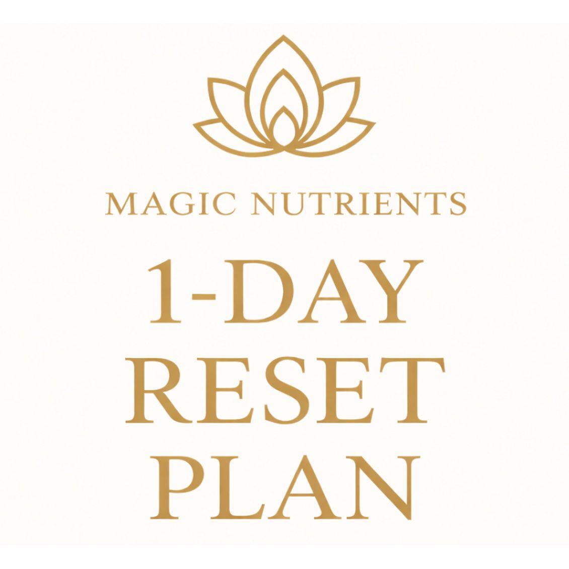 Digital - 1 Day Reset Plan