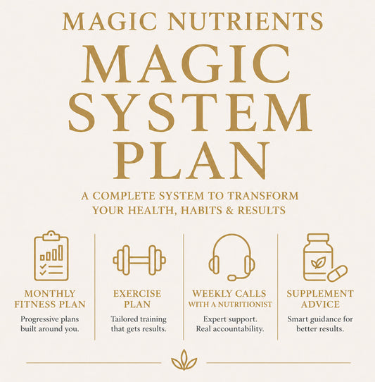 Magic System Plan